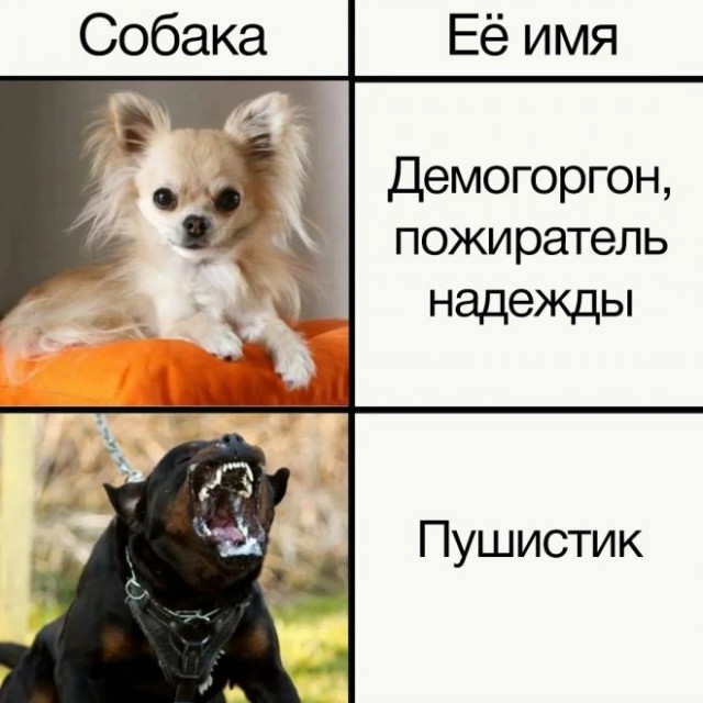 Картинки с надписями и всякие жизненные фразы