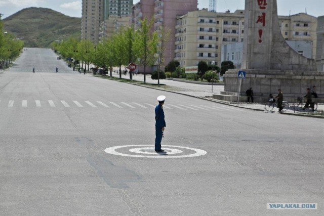 Северная Корея "в цвете"