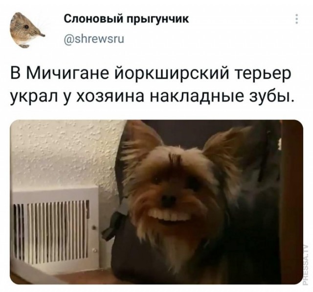 Картинки и мемы для настроения - 19
