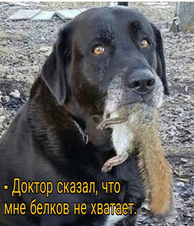 Так себе картинки 17.09.22