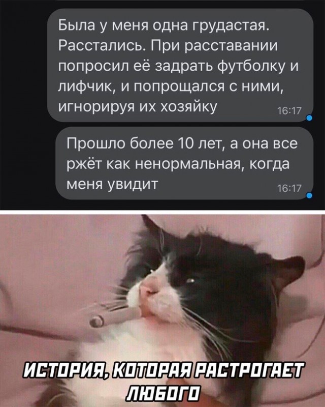 Весёлый полтишок 08.11.22