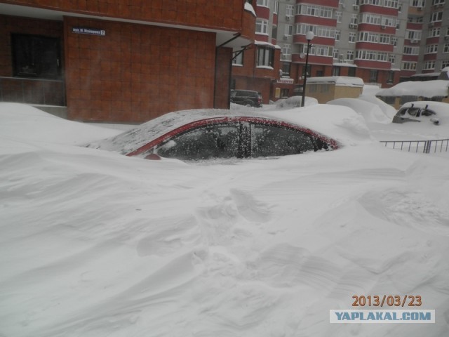 23 марта. Киев. Весна.