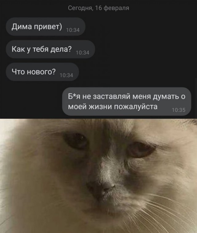 Картинки и мемы, всем хороших выходных