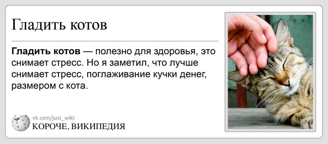 А как же я!? Малыш! Ведь я же лучше! Лучше собаки!