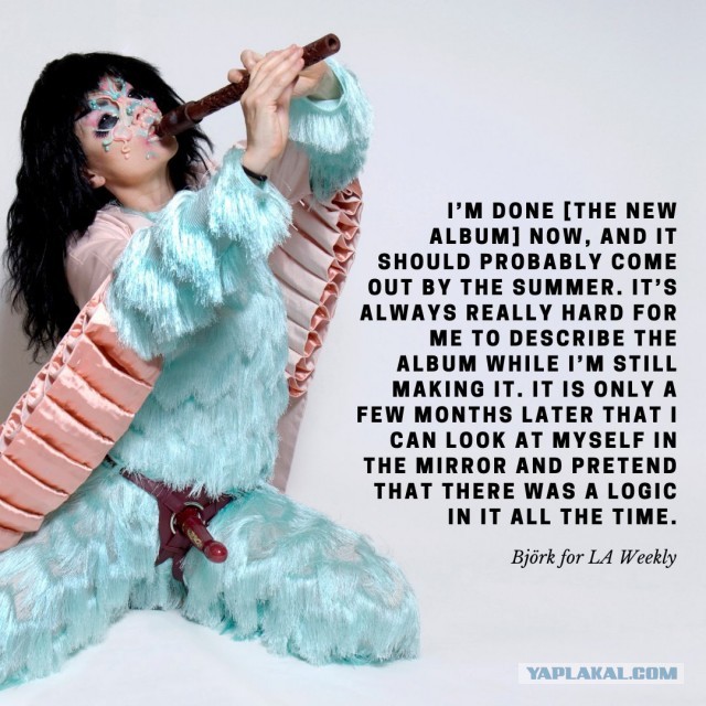 163 см Bjork