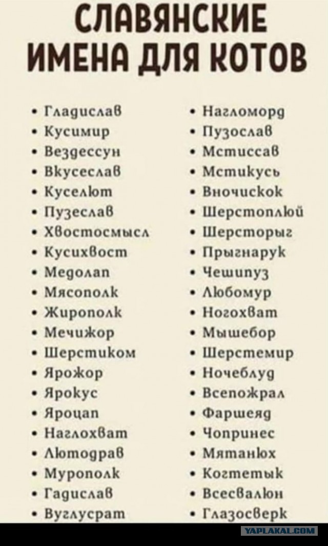 Вот я снова стал рабом