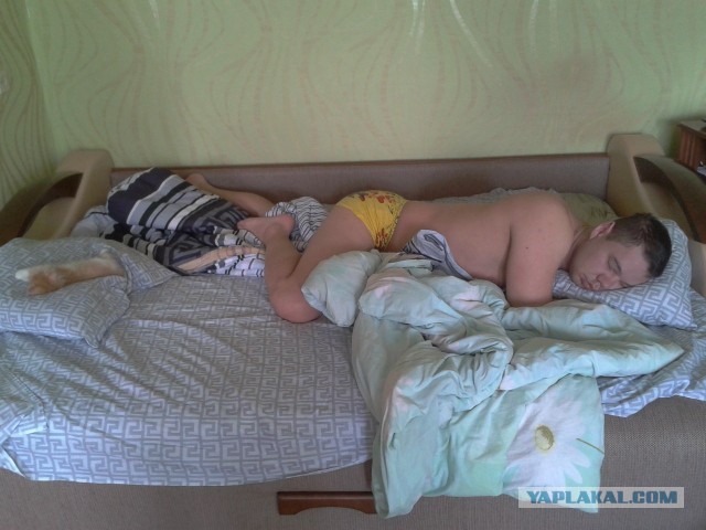 Котовторник 30.04.2013