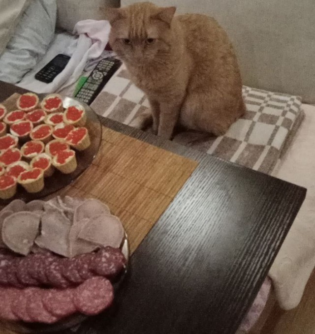 Ждун года