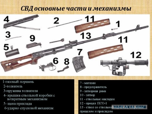 Как устроена снайперская винтовка: подробное объяснение