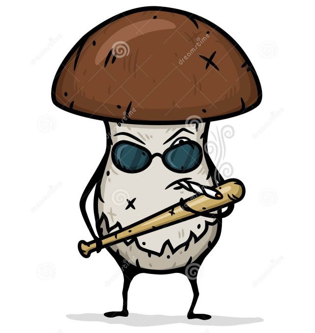 Довыёживался
