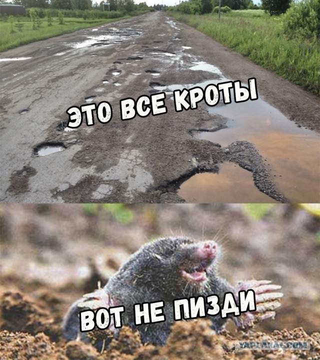 Лоза удивлён новостям первого канала