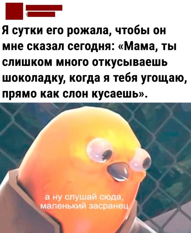 Так себе картинки 21.05.24