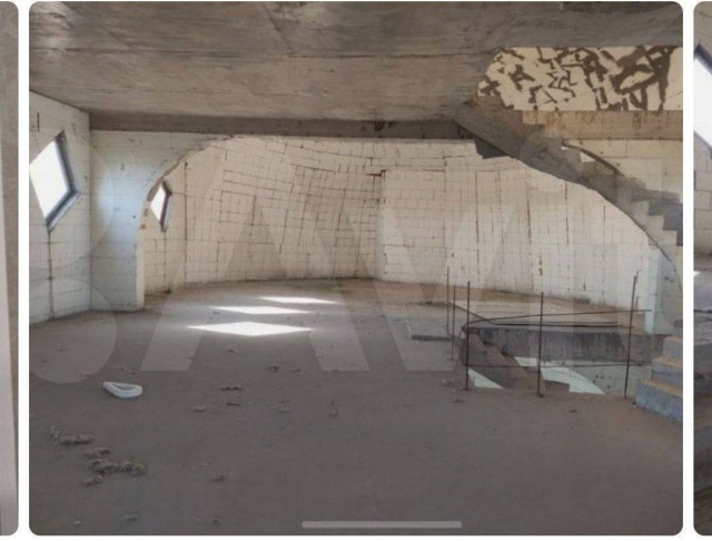 Купи слона