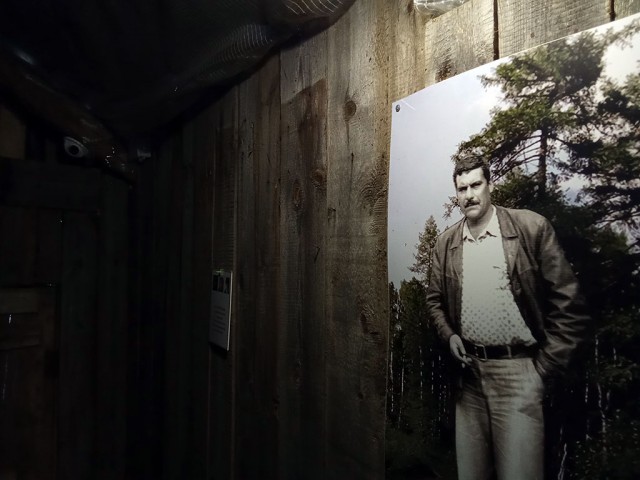 Пушкинские Горы. В доме Довлатова