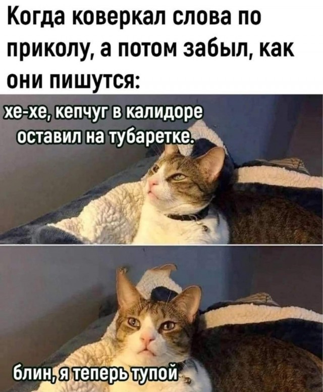 Завалялось тут случайно немного забавных картинок