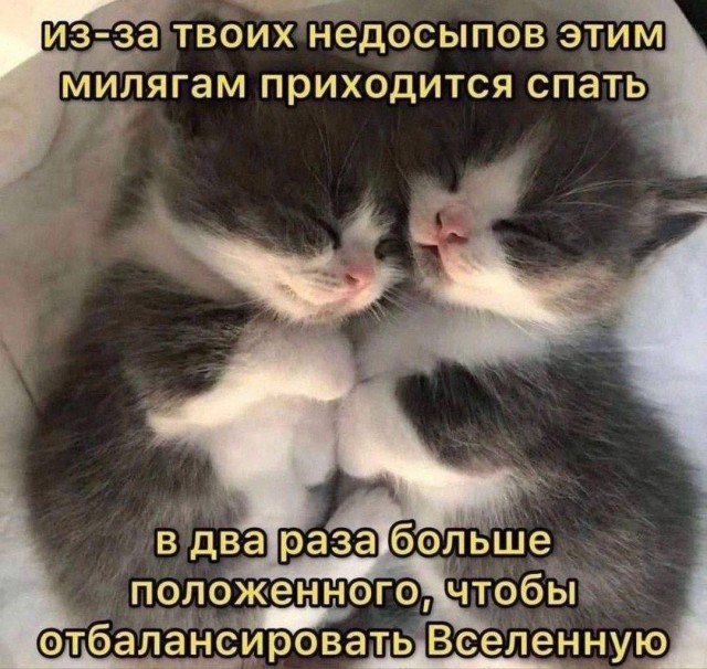 Так себе картинки 07.11.24
