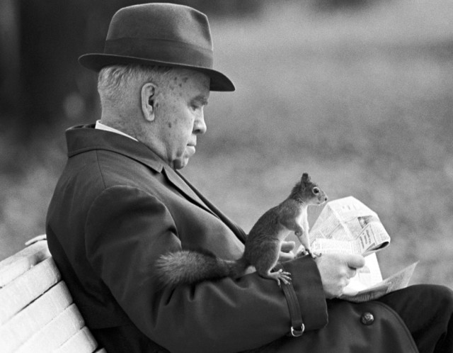 Фотографии из прошлого нашей страны – 81