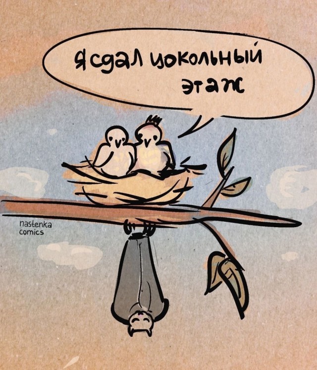 Так себе картинки 27.11.24