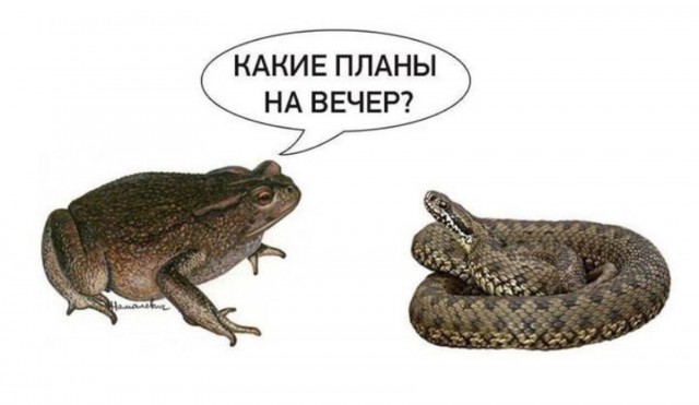 Публично возмутившемуся отпуском чиновницы Хинштейну указали на неправоту