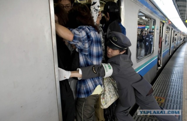 Самые невероятные профессии