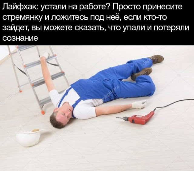 Веселые картинки в пятницу (23.05)