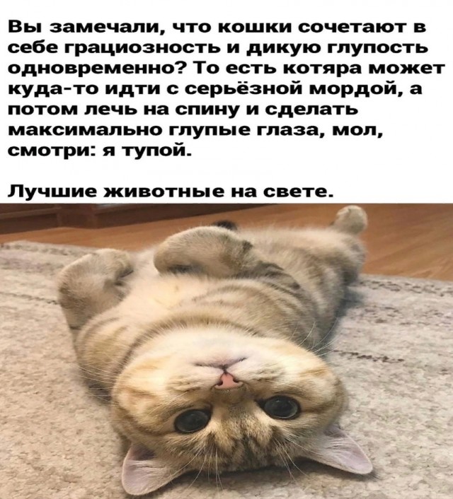 Так себе картинки 24.05.25