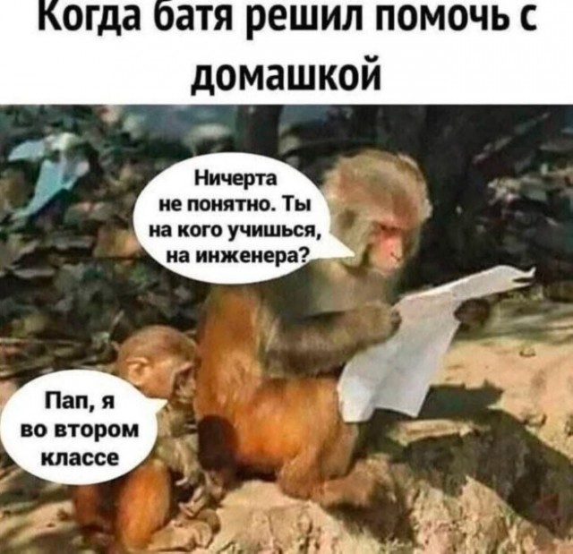 Юмор в картинках за пол дня и клуб приемных детей