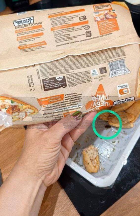 «Чебупицца» с тараканом