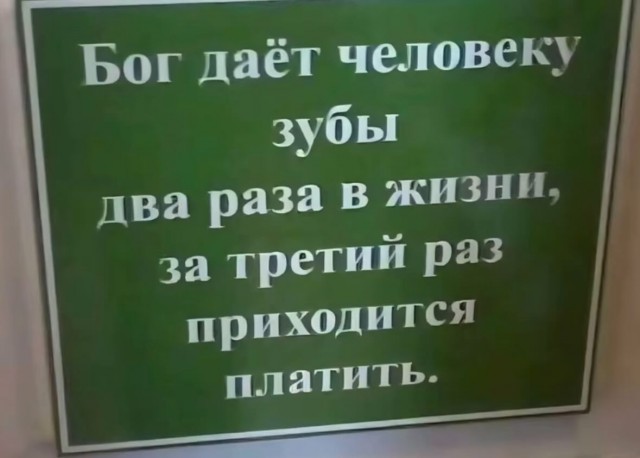 20168530.jpg