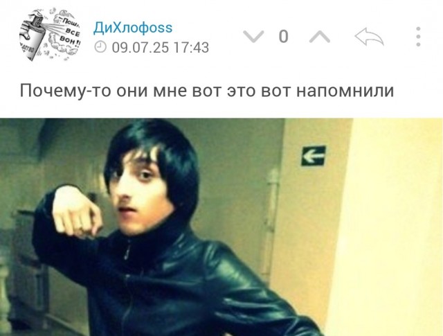Этого вы уже не развидите, но именно так выглядят банатские куриные голуби