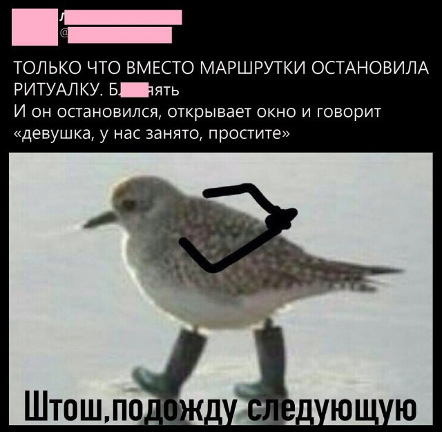 Так себе картинки 07.08.25