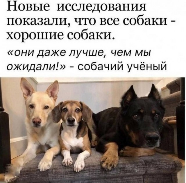 Картинки для деградации 43 (разной степени свежести)