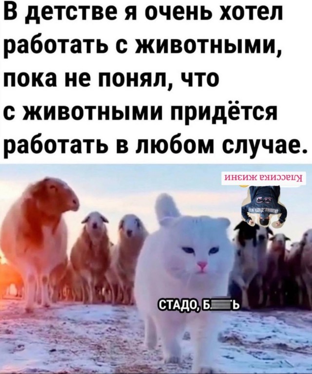 Деградация