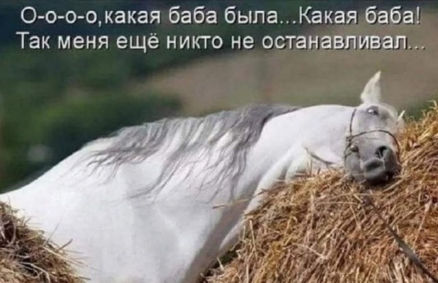 Россиянка скинула преступника с мотоцикла и задержала его до приезда полиции в Аргентине