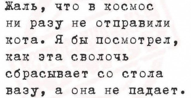 Маленькая пятница 26.11