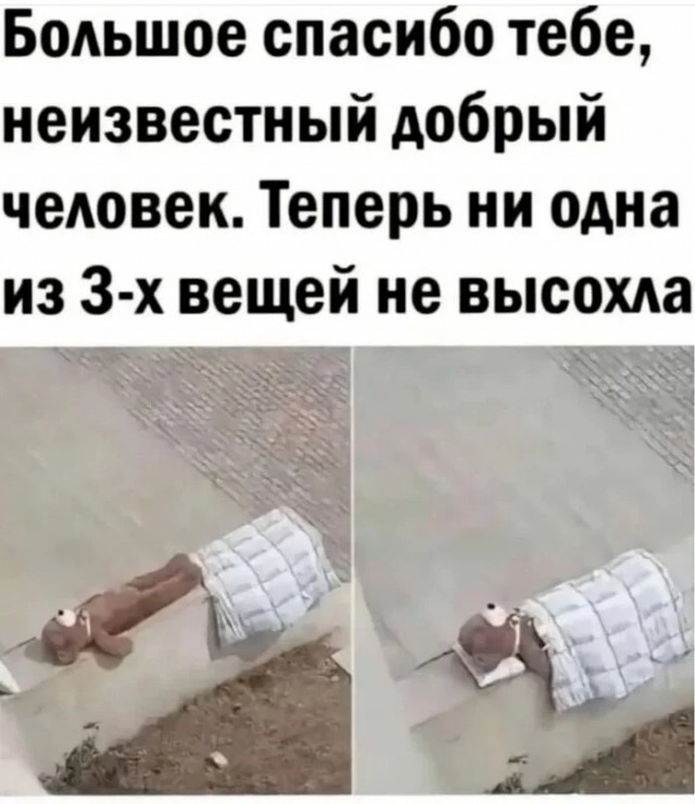 Субботние картинки