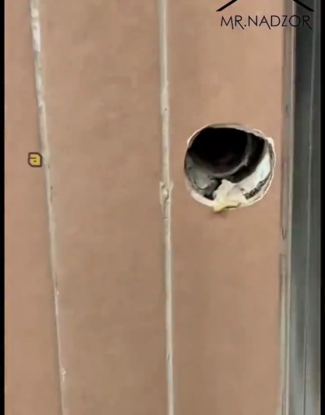 Ну а что вы хотели за эти копейки...