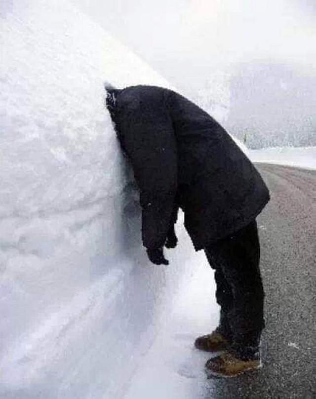 Прикольные и просто красивые картинки 13.02.2026