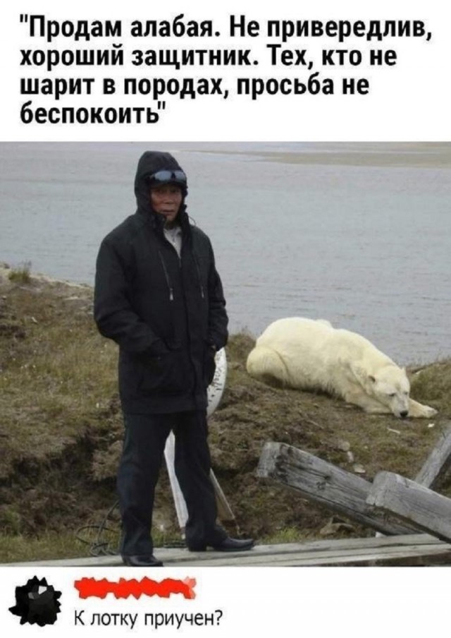 Так себе картинки 06.03.26