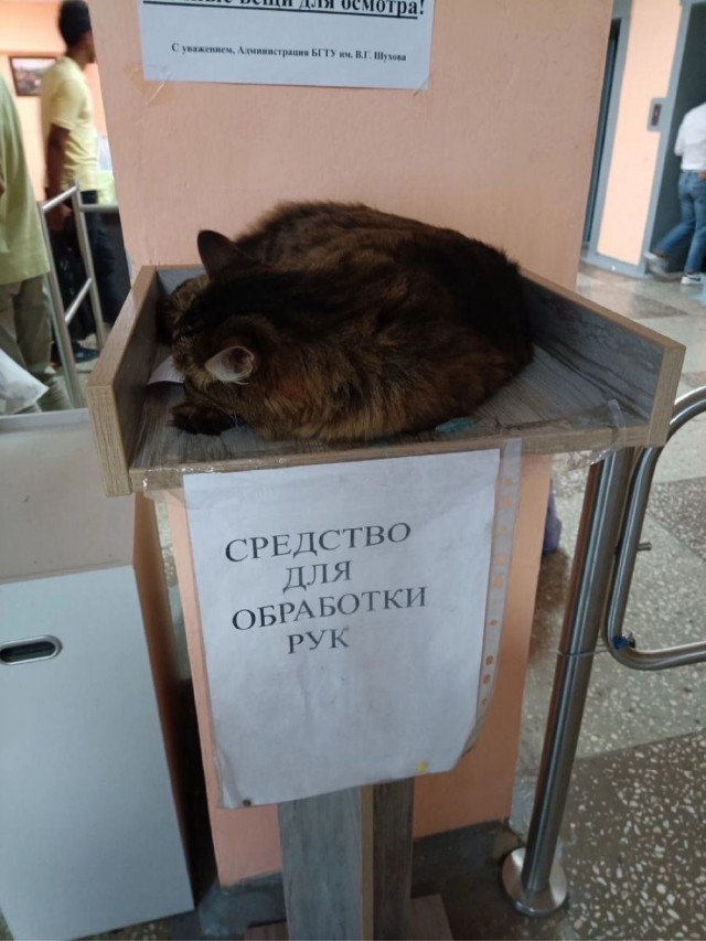 Прикольные и просто красивые картинки 13.03.2026