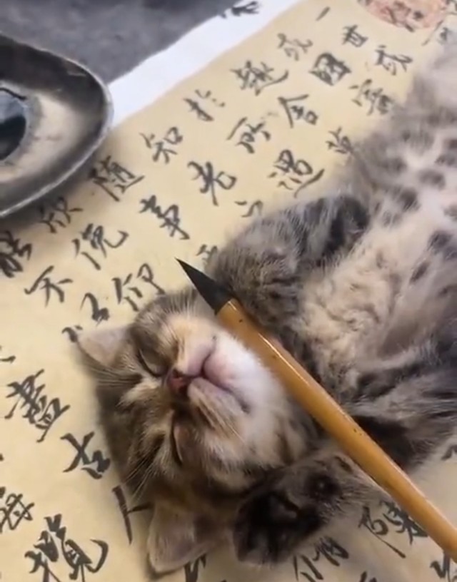 Каллиграфия