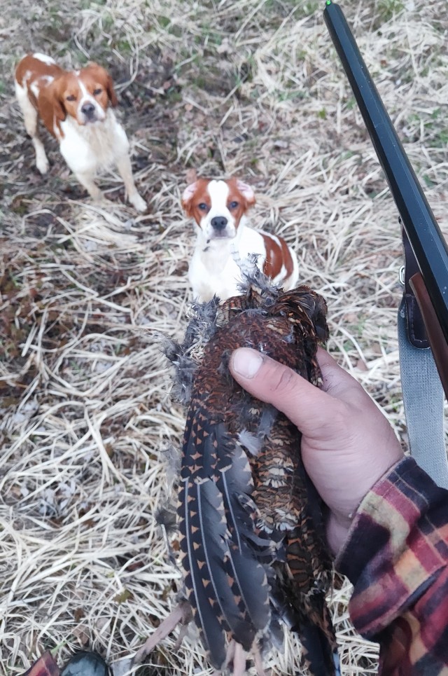 У нас сегодня охоту открыли