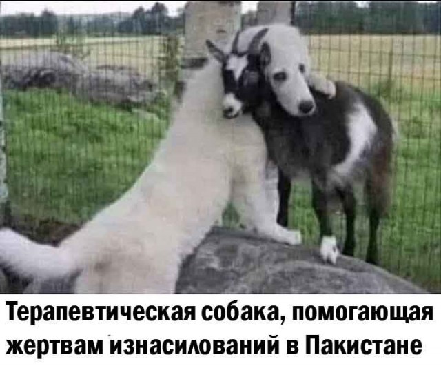 Картинки из мусорной корзины 02.05.26