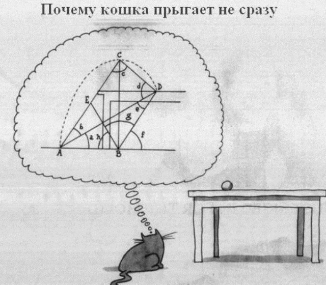 Картиночки, баянчики 14 июня