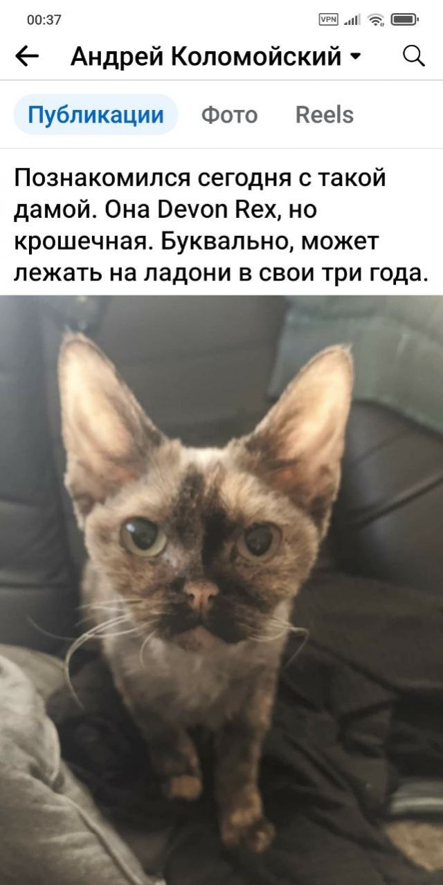 Засосало приятное сосало