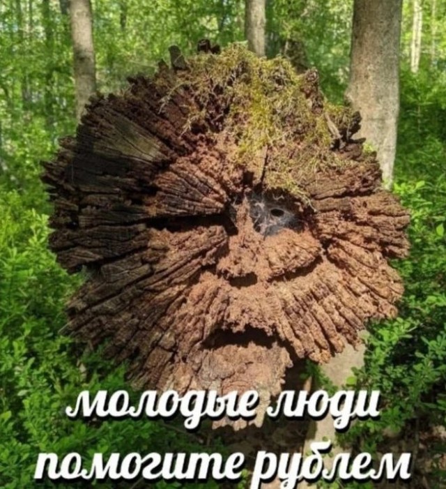 Пятничные бояны