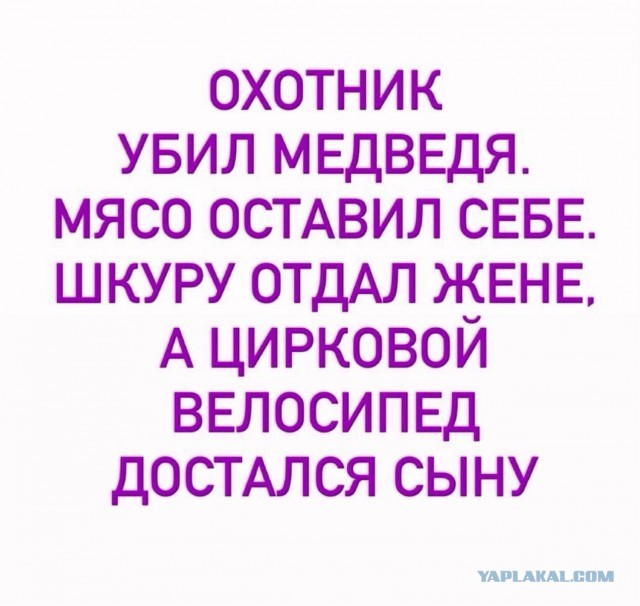 Веселые картинки в пятницу (21.08)