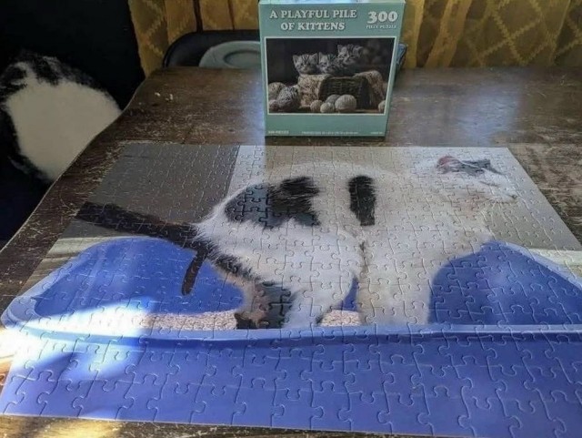 Картинке