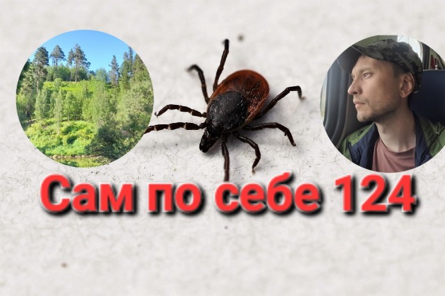 Сам по себе 124