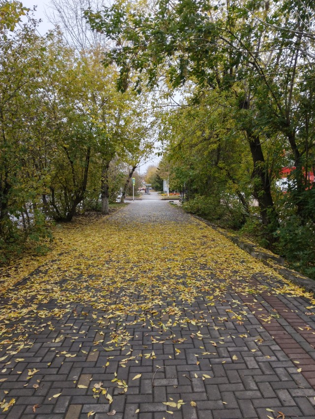 Все краски осени